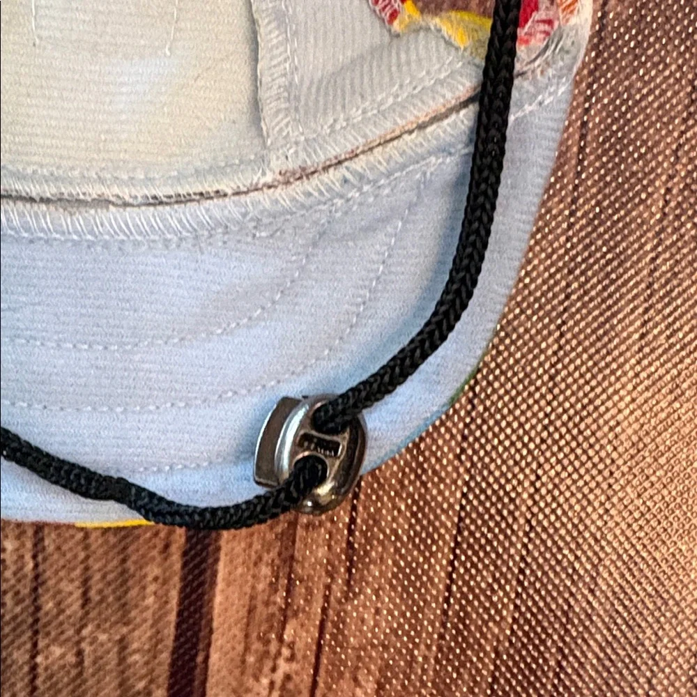Tail Up Dog Hat with Ear Holes and Neck Strap